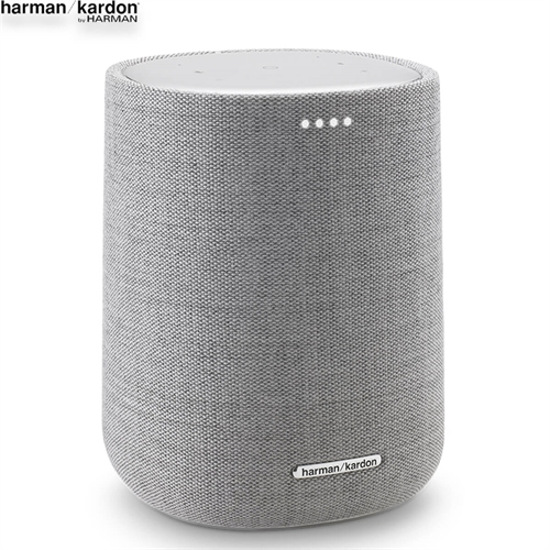 Loa Harman Kardon Citation ONE 13